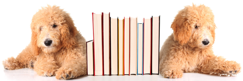 Efficient Advice for Keeping Clutter at Bay After Organizing