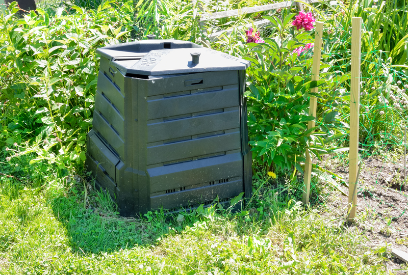 Sustainable Sanctuary: Crafting a Waste-Free Home